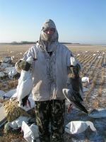 spring snow goose hunt